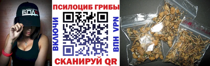 Купить закладки  Городец  Галлюциногенные грибы Psilocybine cubensis 