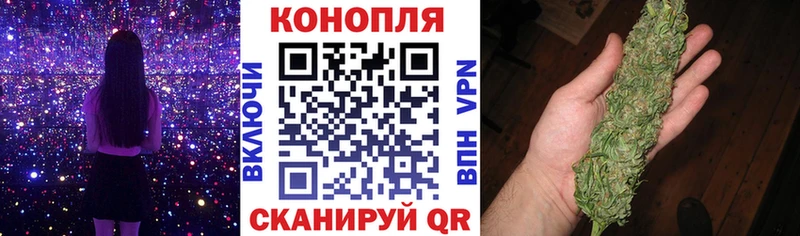 Купить закладки  Городец  Бошки марихуана тримм 